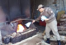 Polícia Militar de Curitibanos incinera drogas apreendidas