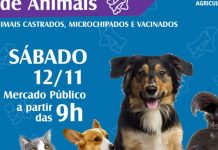 Feira de adoção de animais e vacina contra a raiva acontecem neste sábado