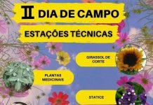 UFSC promove II Dia de Campo Flores e Plantas Medicinais