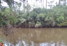 Bombeiros localizam corpo de homem que havia desaparecido em Ponte Alta do Norte