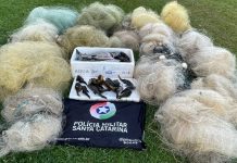 Polícia Militar Ambiental apreende 700 metros de redes e 40 quilos de peixes na Operação Piracema