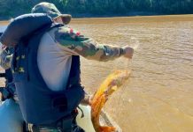 Amantes da pesca devem ficar atentos as restrições da Piracema