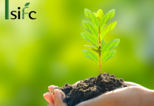 Sindicato da Indústria Florestal de Curitibanos tem posse de nova diretoria no final deste mês