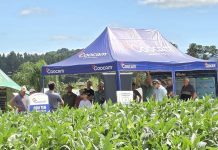 Coocam promove Dia de Campo em Curitibanos no próximo sábado