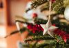 Após mais de uma década, concurso de Vitrines de Natal será retomado em Curitibanos