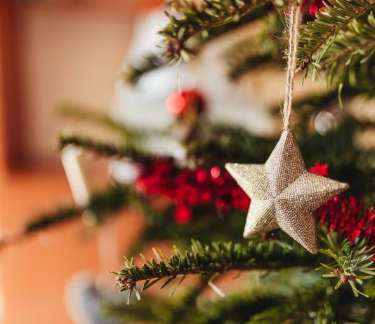 Após mais de uma década, concurso de Vitrines de Natal será retomado em Curitibanos